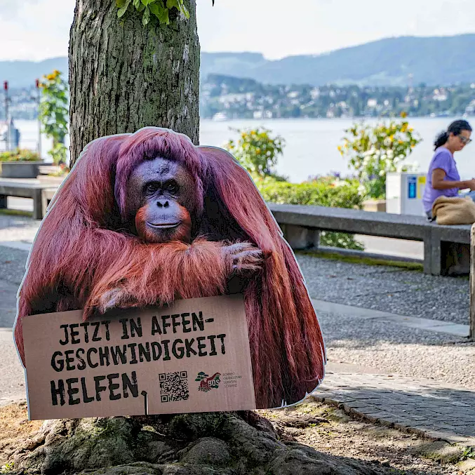 Grosses Bild © BOS Schweiz