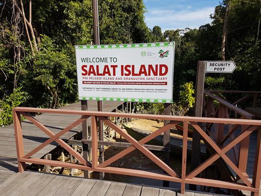 Schild: Welcome to Salat Island