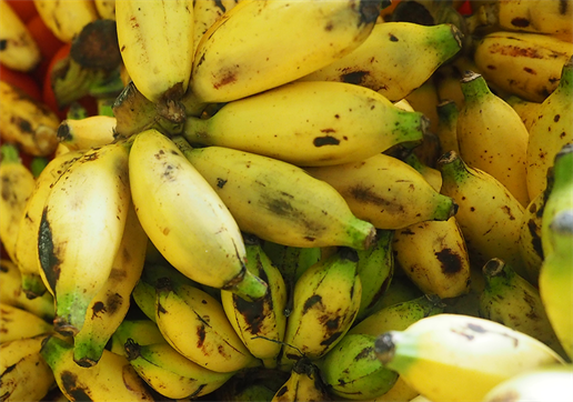 Bananen Bild