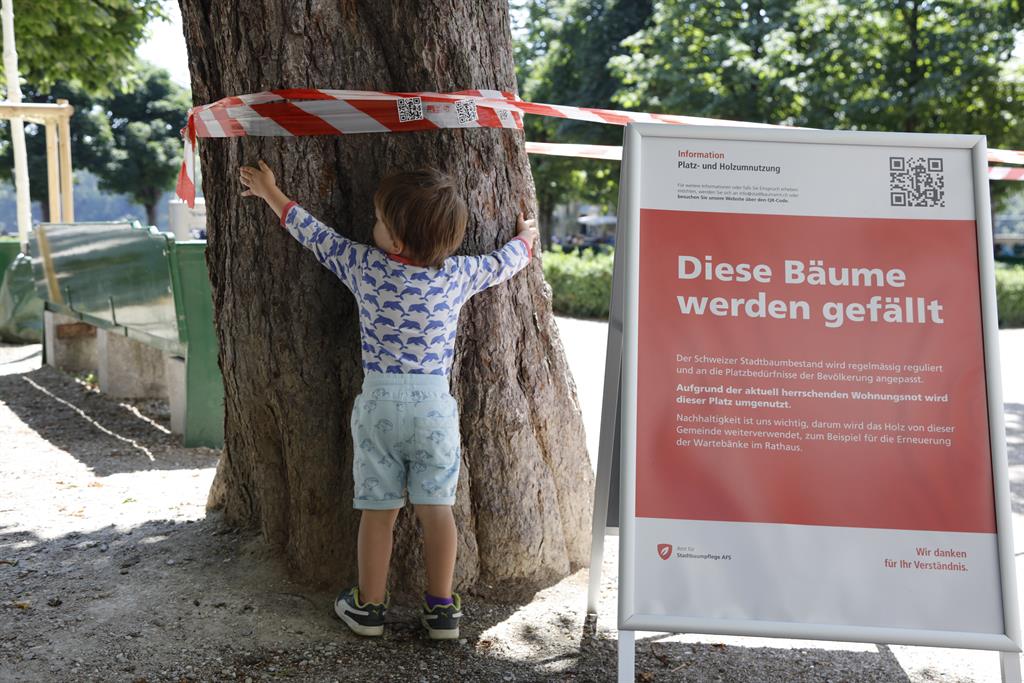 Markierter Baum in Bern