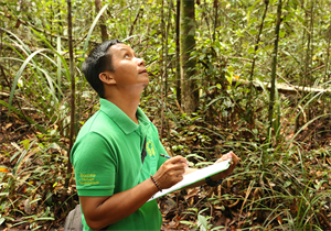 Borneo Nature Foundation BNF