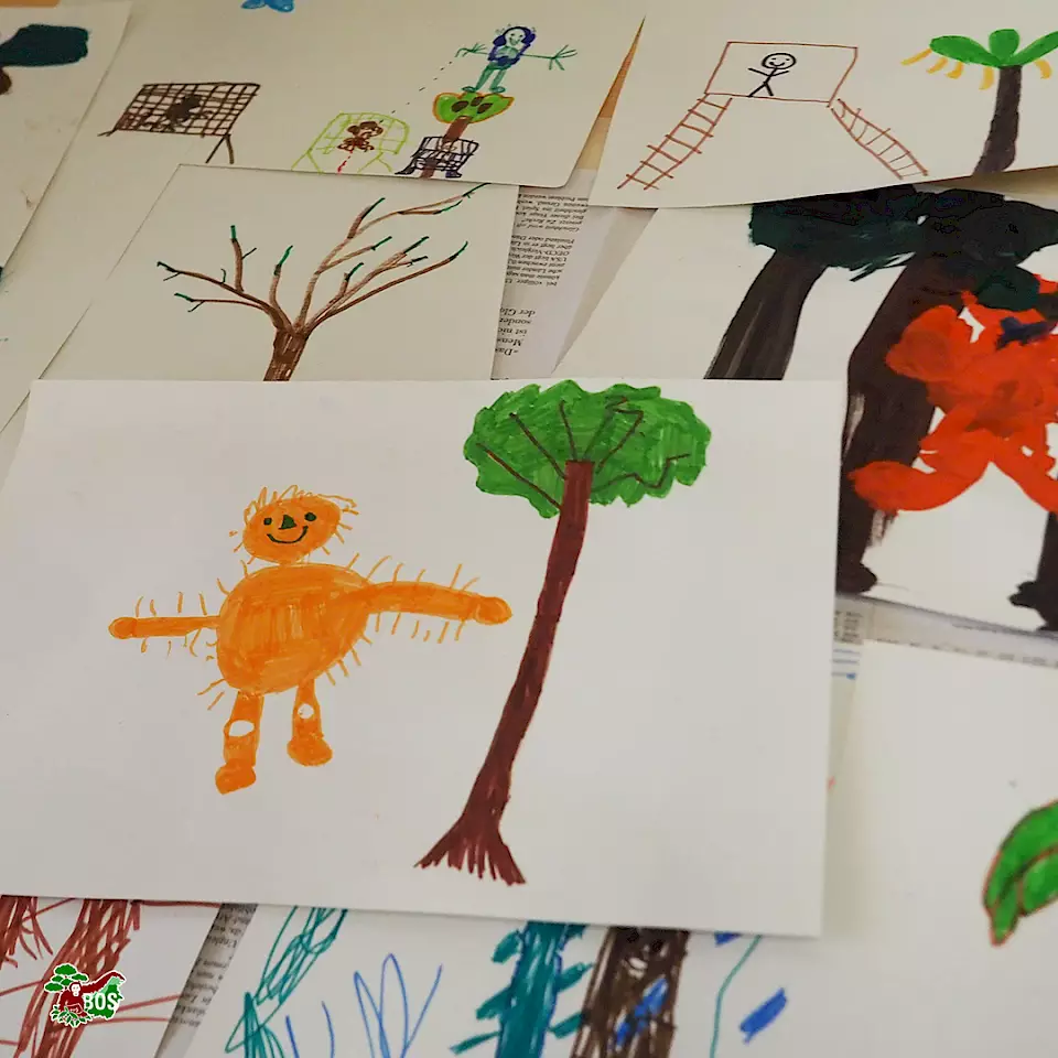 "Orang-Utan-Zeichnung" - Zeigt das Engagement von BOS Schweiz im Bereich Umweltbildung.