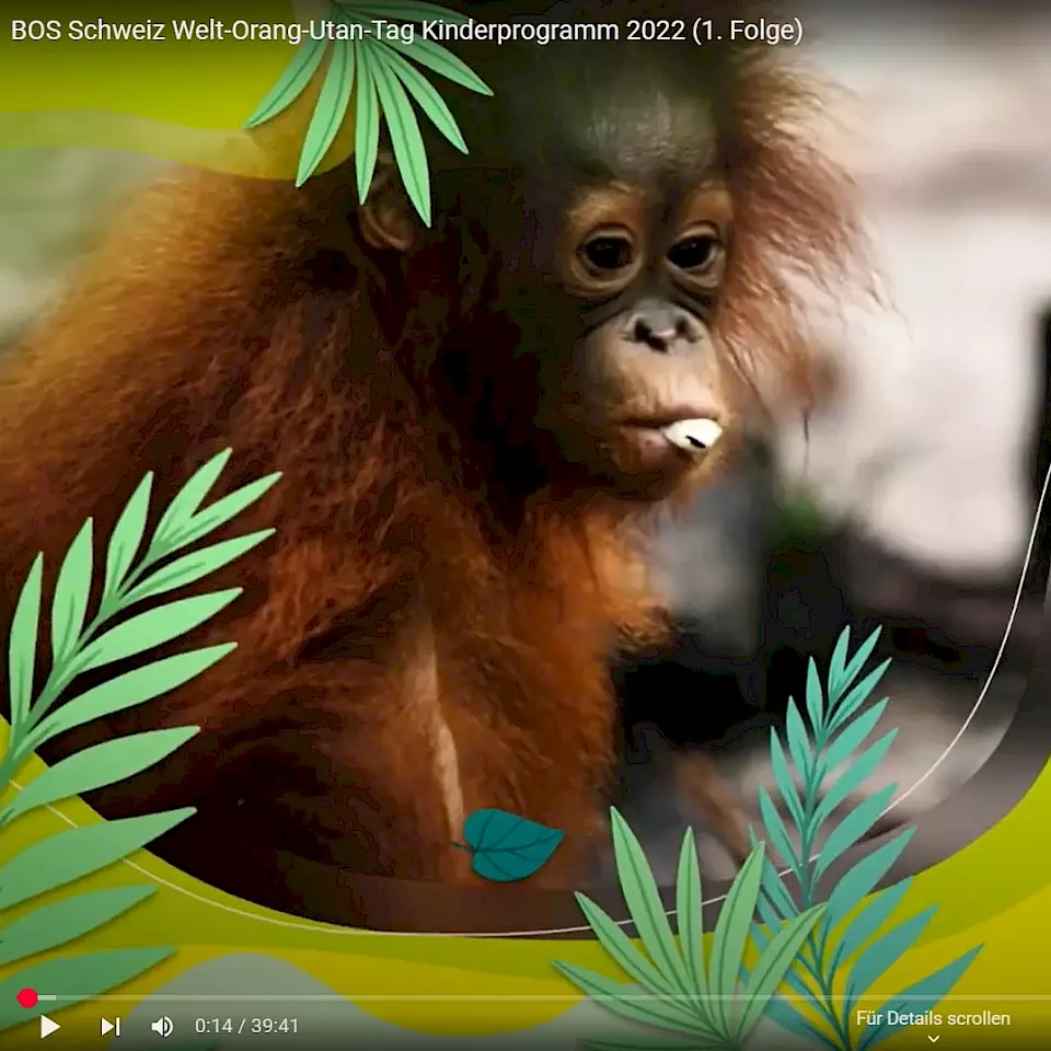 Screenshot vom Onlinekinderprogramm